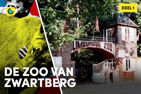 de zoo van zwartelgoud|De Zoo van Zwartberg in Genk komt tot leven in。